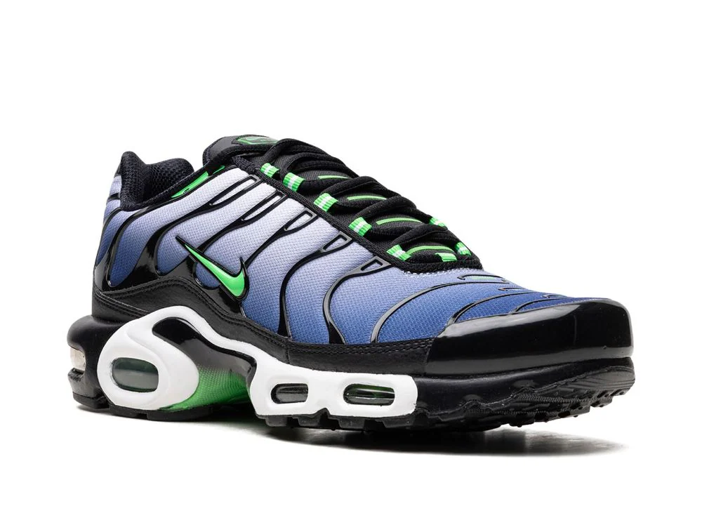 NIKE AIR MAX PLUS "ICONS"