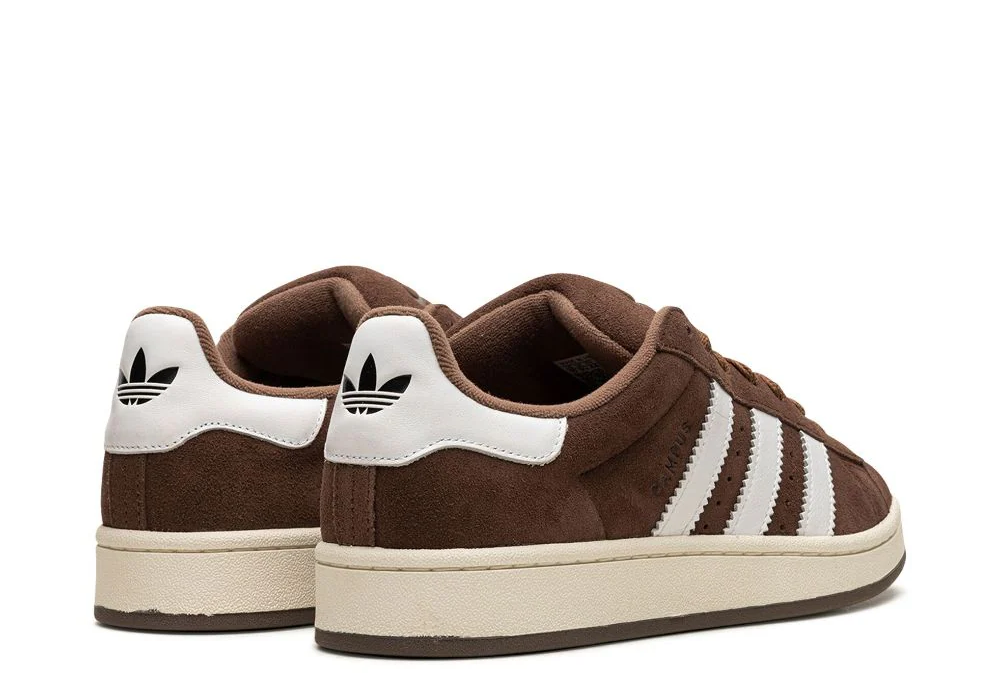 Adidas campus marron online